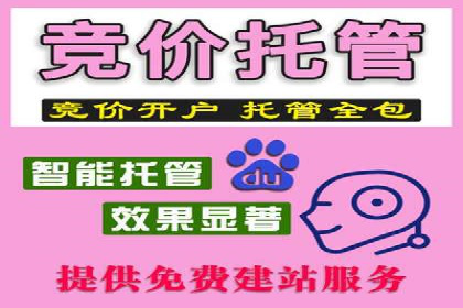 SEM运营公司案例研究：优化广告投放策略